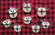 several different types of birds with eyes and feathers attached to their mouths on a red checkered table cloth