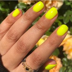 "You're Un\"bee\"lievable - Buzzy Neons Collection You're Un\"bee\"lievable is an attention grabbing highlighter neon yellow." Highlighter Nails Yellow, Neon Yellow Short Nails, Neon Yellow Nails Short, Neon Nails Yellow, Neon Yellow Acrylic Nails, Highlight Nails, Bright Yellow Nails, Liquid Gel Nails, Lime Nails