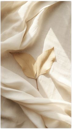 Get inspired by this serene and soft aesthetic featuring dried leaves on delicate, cream-colored fabric. The natural light and earthy tones create a calm and cozy atmosphere, perfect for adding a touch of nature-inspired elegance to your feed. Ideal for those who love minimalism, neutral decor, and organic vibes. 🌱✨ Iphone Beige Wallpaper, Earthy Tones Aesthetic, Linen Plant, Photo Frame Wallpaper, Neutral Aesthetic, Leaf Images, Texture Photography, Leaf Texture, Framed Wallpaper