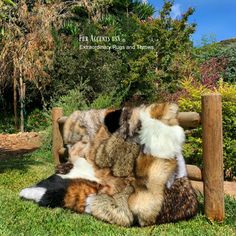 a pile of stuffed animals sitting on top of a lush green field next to a wooden fence