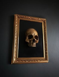 a skull in a gold frame hangs on the wall next to a black wall,