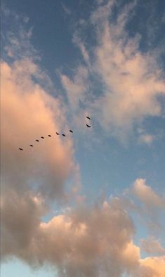 a flock of birds flying through a cloudy blue sky with clouds in the foreground