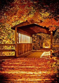 a wooden covered bridge surrounded by trees in the fall