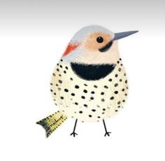 a drawing of a bird with spots on it's body and head, standing in front of a white background