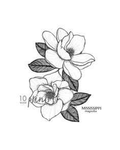 two flowers with leaves and the words mississippi in black ink on a white paper background