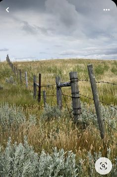 a wooden fence sitting in the middle of a lush green field