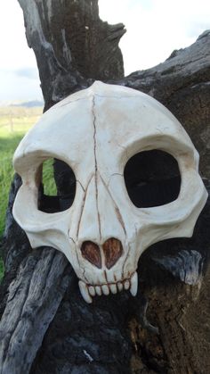 a fake skull hanging from the side of a tree