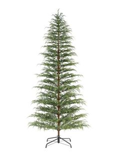 a small pine tree on a stand with no leaves in front of a white background