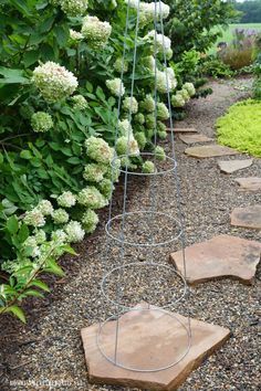 a garden with stone steppings and flowers in the back ground, surrounded by shrubbery