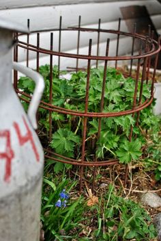 a rusted metal container sitting on the ground next to some plants