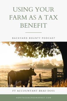 a cow standing next to a tree with the words using your farm as a tax benefit