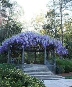 a gazebo covered in purple flowers with a quote on it that says, we will gather