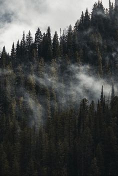 the mountains are covered in fog and trees