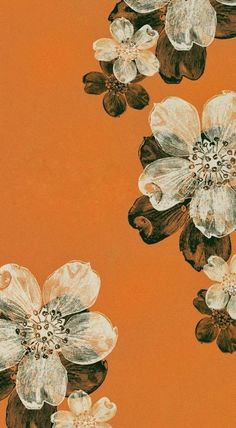 an orange background with white and brown flowers