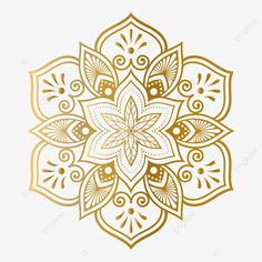 an intricate golden flower design on a white background, pattern, ornament png and psd