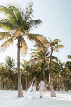 a bride and groom walking on the beach with palm trees