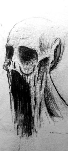 a drawing of a skull with long hair