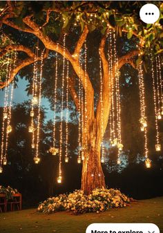 a tree with lights hanging from it's branches