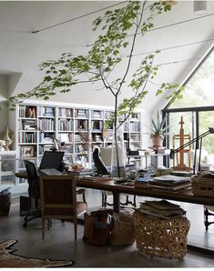 a home office with lots of books and plants