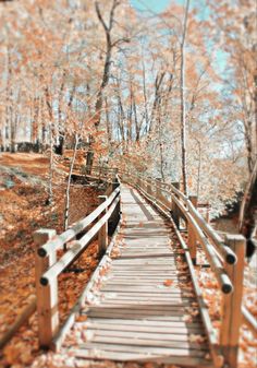 a wooden bridge surrounded by trees and leaves