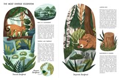 an open book with illustrations of animals and plants in the pages, including trees, grass,