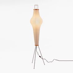 the floor lamp is made out of wood and wire