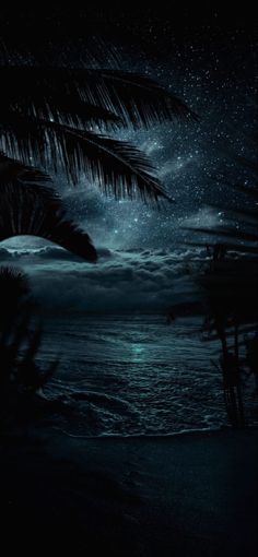 the night sky is full of stars and palm trees in front of an ocean view