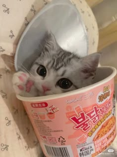 a kitten is peeking out from inside a cup