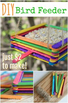 diy bird feeder made from pops sticks