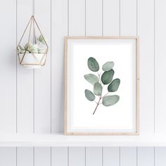 a white shelf topped with a framed plant next to a potted plant