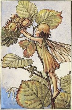 an illustration of a fairy holding onto a flower