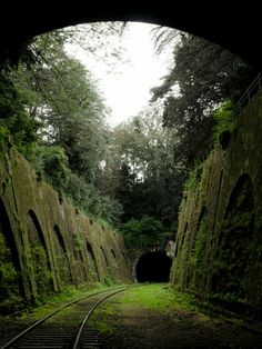 an old tunnel with moss growing on the walls and railroad tracks running through it, surrounded by trees