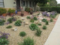 the front yard is full of plants and rocks