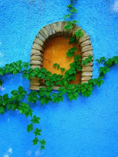 a blue wall with a window and vines growing on it