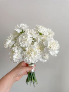 a hand holding a bouquet of white flowers