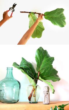 a person is holding a plant in front of a vase and another hand holds a branch