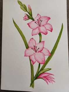 a painting of pink flowers on white paper