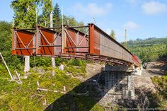 a train traveling over a bridge in the woods