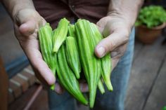 a man is holding some green vegetables in his hands