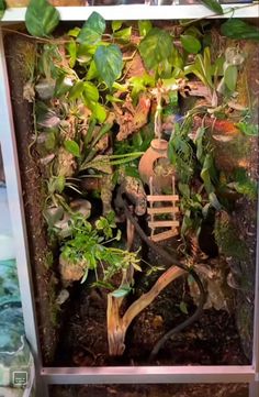 an assortment of plants in a metal container