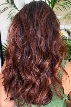 Ombre For Dark Hair, Warm Brown Hair With Highlights, Golden Balayage, Light Ombre, Warm Brown Hair, Chestnut Brown Hair, Chestnut Hair, Chestnut Hair Color, Brown Ombre Hair