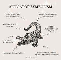 an alligator's body and its parts