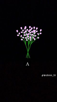 a bunch of flowers that are sitting in the dark with some type of writing on it