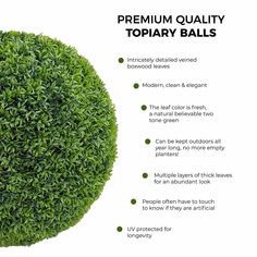 the topiary ball is shown with information about it