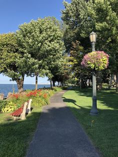 a park bench sitting next to a lamp post near the water with flowers growing on it