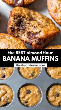 the best almond flour banana muffins in a muffin tin with chocolate chips