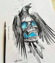 a drawing of a skull with blue eyes and a bird on it's head