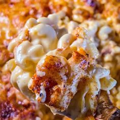 a spoon full of macaroni and cheese being lifted from the casserole