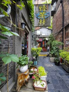 Shanghai Aesthetic, Planet Astrology, Shanghai Travel, China Street, Explore China, Moon Reading, Shanghai China, China Travel