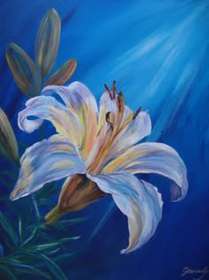 a painting of a white lily on a blue background